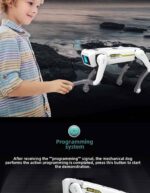 German Boy Birthday Gift Kidsren's Robot Dog Toy Creative Big Boy Primary School Student Kindergarten New Year Gift - Image 5